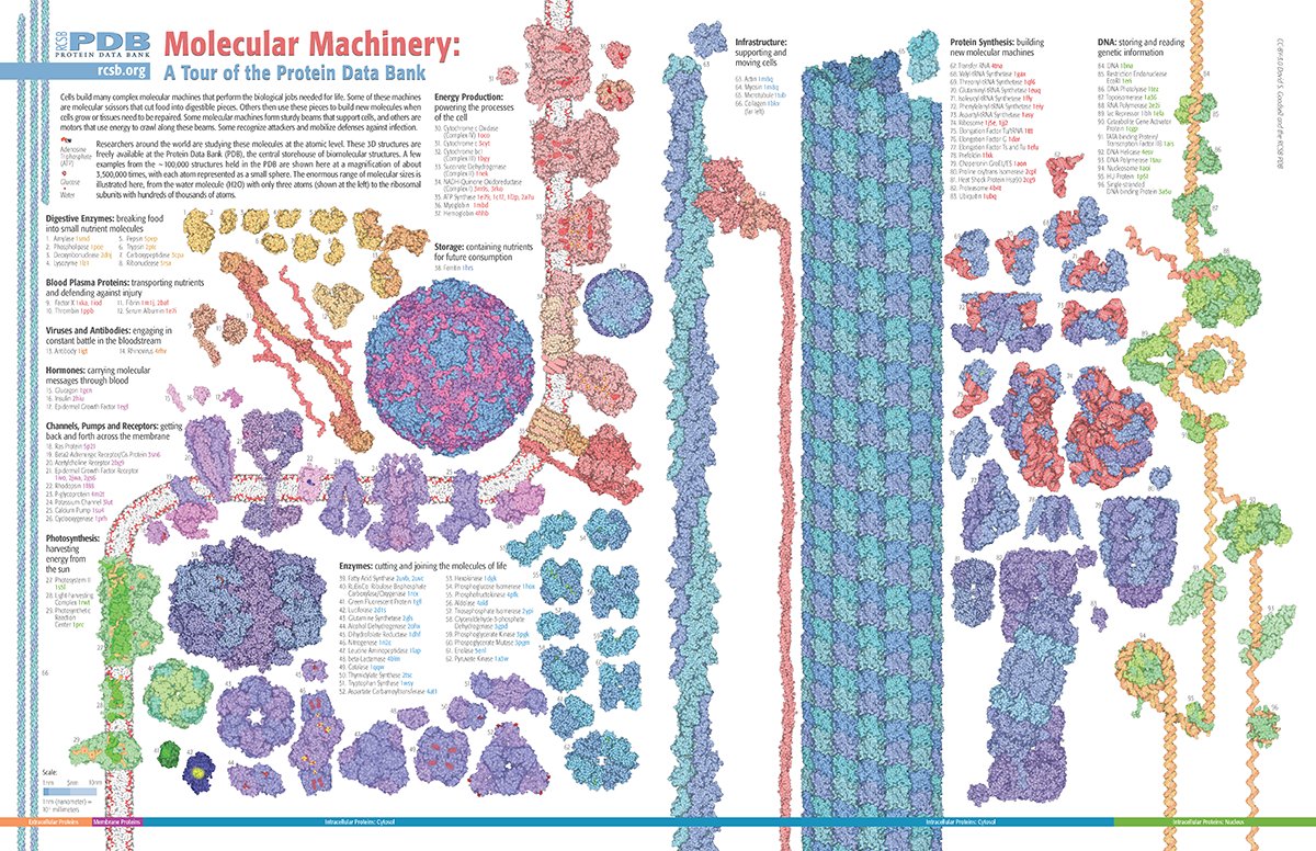 buildmodels's tweet photo. Did you spot our cameo in You Can See Everything?
PDB-101's Molecular Machinery graphic is shown on screen as Billy watches YouTube
Thanks to @A24 for helping us celebrate 55 years of the PDB!
Download the updated poster from https://t.co/OnW4nkuwDn https://t.co/XxE3SDrrhj