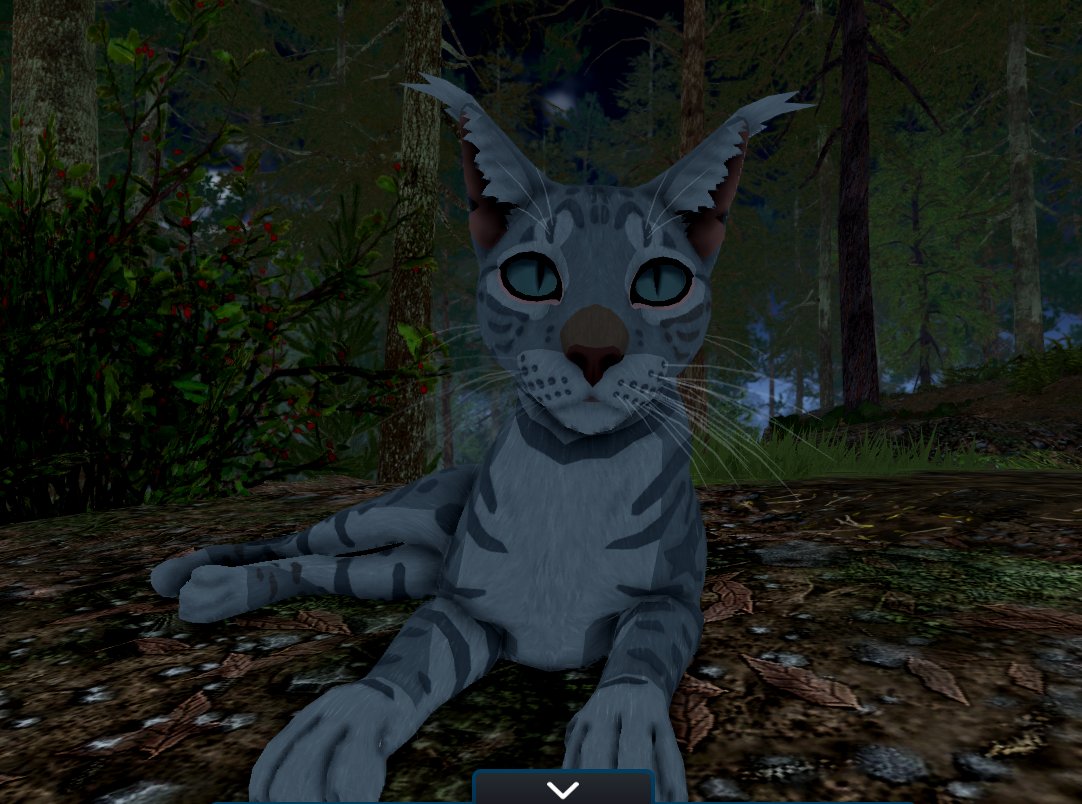simonediesimons's tweet photo. he is jayfeather for an amazing reason! https://t.co/P2bAbZrHyU