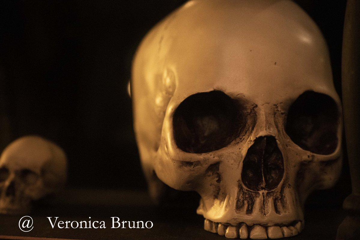VBrunoStories's tweet photo. At the Brenton Hotel this past week I got to showcase some of my fav #photos including this #spooky image of #skulls called “Dark Arts, a perfect decoration for #Halloween If interested, DM me.
#Halloweenphoto #photoart #artphotographer #skullphoto #artforsale #RIphotographer #artforsale