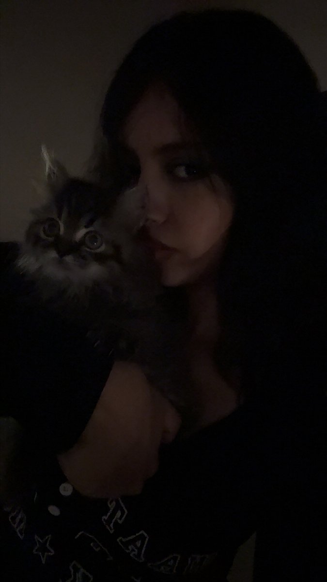 XherXme's tweet photo. 🐈‍⬛ https://t.co/vsos0Uv2Ix