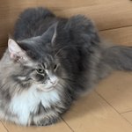 Photo by コバトン松村(松村靖) (@machan)