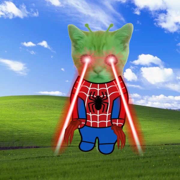 gato_pf's tweet photo. @sadcrissy $Gato is THE pfp cult. https://t.co/GWXcFrVxK8