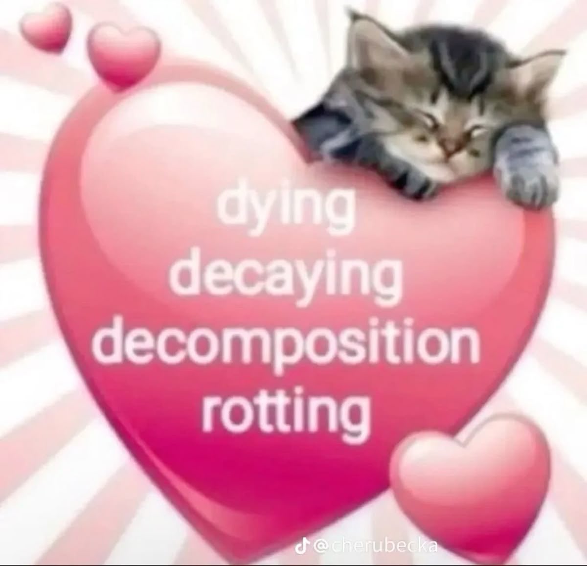exorsiann's tweet photo. Sean mis mutis porfi
busco mutis #edtwt
busco mutis #shtwt
busco mutis #subtwt
busco mutis #suicidetwt
busco mutis #drugtwt
busco mutis #cleptotwt
busco mutis #cannibaltwt
busco mutis #goretwt
busco mutis #obstwt
busco mutis #shedtwt
busco mutis #venttwt https://t.co/5zitt77BQS