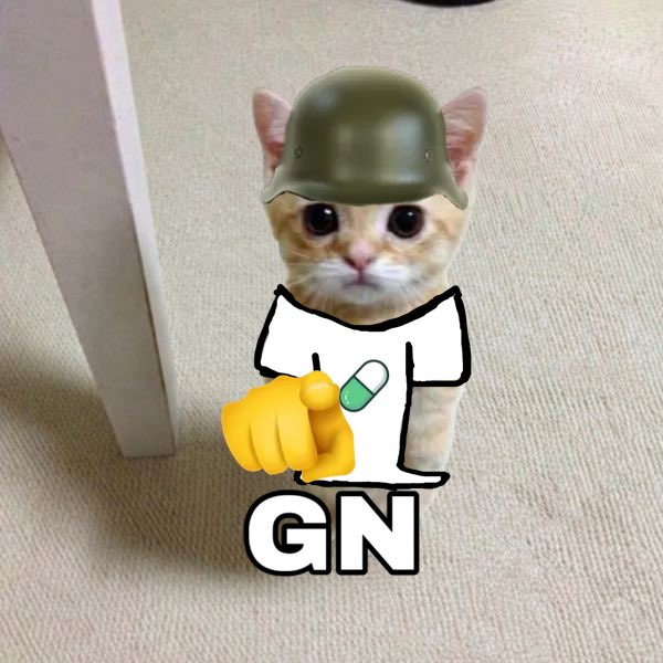 gato_pf's tweet photo. Wishing everyone with a gato pfp a good night. https://t.co/4N1YbFBzwR