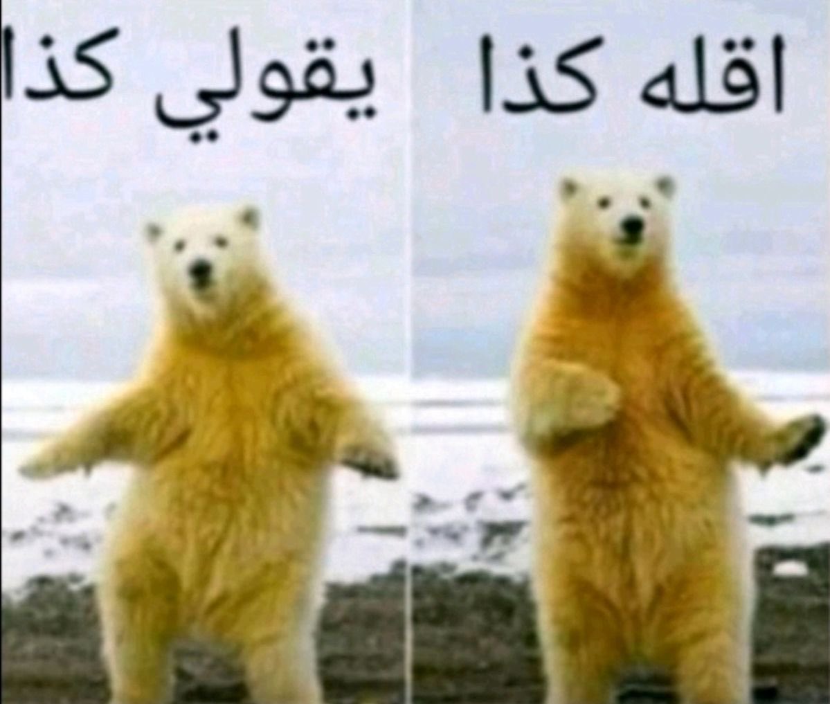 0iedn's tweet photo. @beivl_ @6nla0 كلن يرى الناس بعين طبعه ، تشوفي نفسش غبيه ياويلي https://t.co/79sT03or4A