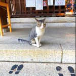 Photo by 季節を感じる額装写真のピクトマッチ (@pictmatch)