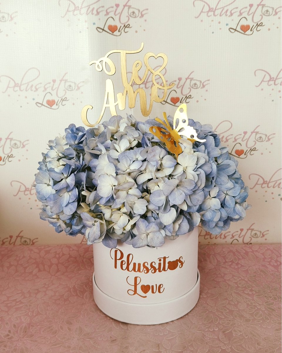 PelussitosLove's tweet photo. 📷📷El amor no tiene calendario. Regala un abrazo en forma de peluche y unas flores hoy mismo, porque sí.📷📷
Servicio Delivery Lima y Callao📷📷📷
(Desde las 5:30 am hasta las 10:30 pm) https://t.co/FKt9rOMXPu