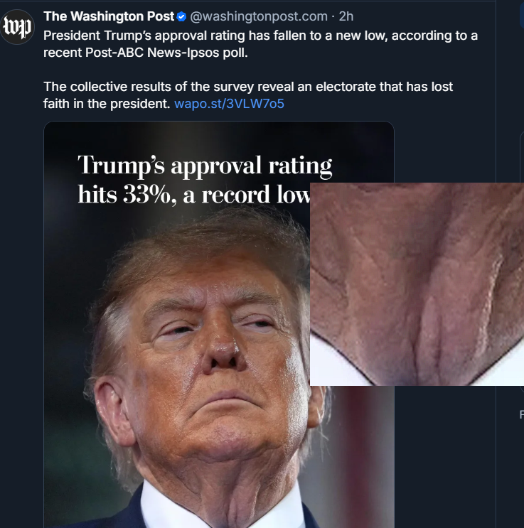 JamfreeHepsteen's tweet photo. Someone set the #TraitorTrump #NeckVagina as PFP and had to remove it
-
President Trump’s approval rating has fallen to a new low, (33%) according to a recent Post-ABC News-Ipsos poll.  The collective results of the survey reveal an electorate that has lost faith in the president https://t.co/4LrNX3WVed