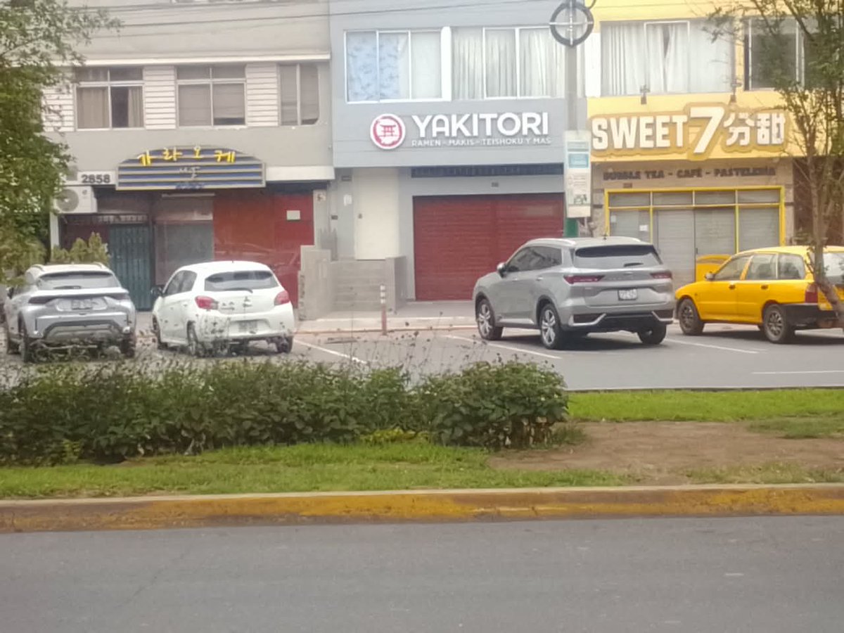 luroel's tweet photo. El nuevo Barrio Asiático que se armó en San Borja es alucinante: restaurantes, tiendas, oficinas comerciales, peluquerías y spa, karaokes, de todo tienen entre Aviación y San Luis, Javier Prado y San Borja Norte, chinos, coreanos, japoneses, vietnamitas, encuentras todo https://t.co/WqpgN66dl6