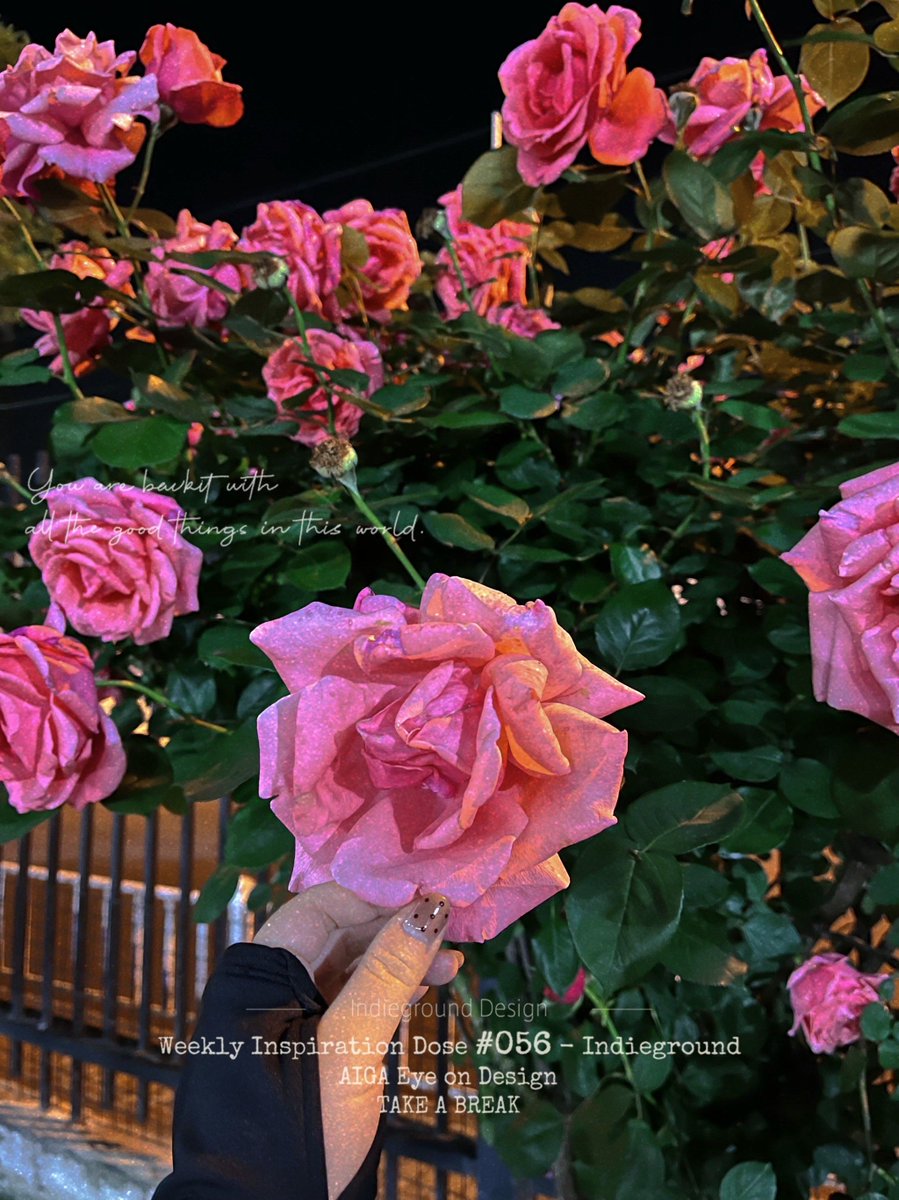 lXSpTtdoMF8EKig's tweet photo. 薔薇に似た可憐な花「蔷」？「讯」せる噂？「咕」と囁く、ちょっと変わった「计」画が動き出す！ https://t.co/NiBW80ooU8