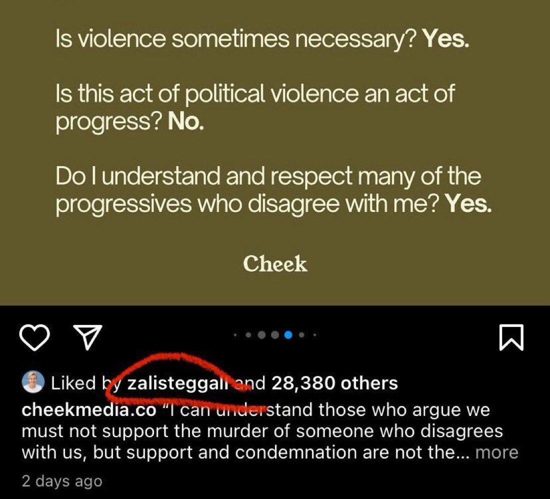 DrewPavlou's tweet photo. Zali Steggall liked a post that celebrated Charlie Kirk’s murder just 24 hours after the brutal killing.

She endorsed Hannah Ferguson’s murderous sentiment that “violence is sometimes necessary.” 

Hang your head in shame @zalisteggall. This was only 12 months ago. https://t.co/Sd6V8VFxx1