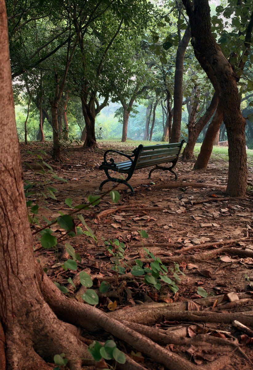 ExploreWithRoy's tweet photo. Delhi'a Dusshera morning. 🙌❤️

#duashera #delhi #photography #tuesday #shotoniphone @Apple https://t.co/vv1q4wFZH8