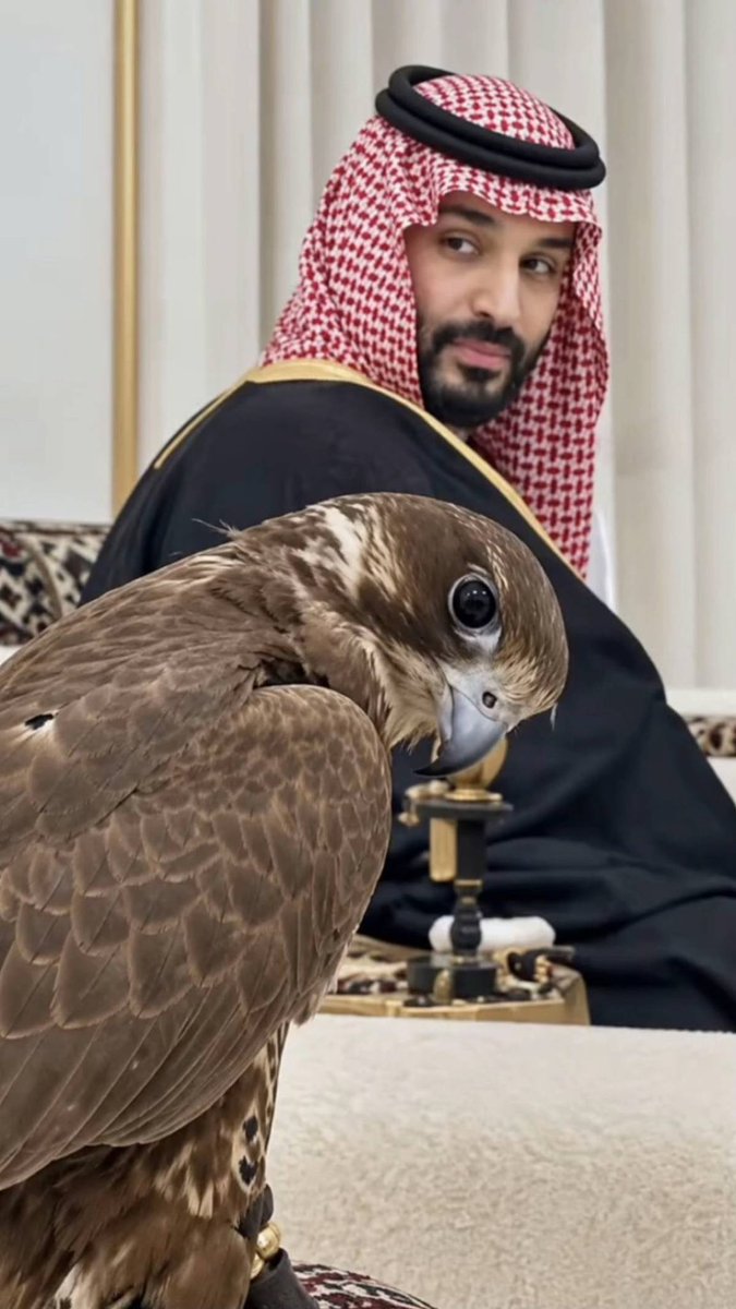 Sultan677183791's tweet photo. @bso7l بذمتك ياسلطان عندنا قايد عظيم.   ماتبينا نشوف انفسنا 😎    يحق لنا بلاش حسد وبلاش دخل. نفسك بشي مايخصك. https://t.co/NSLReRlRwa