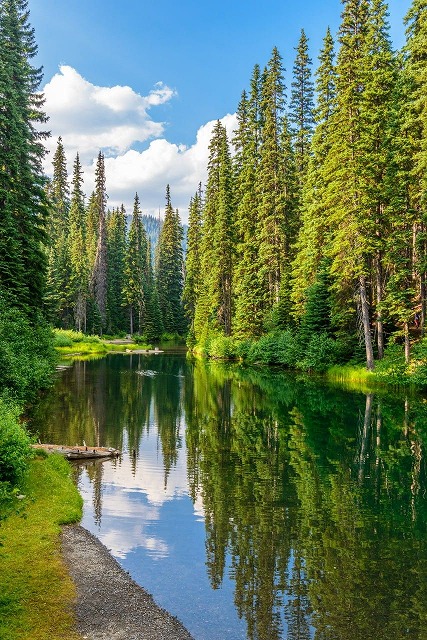 hakim_malaysia's tweet photo. 昼休みに外を歩くと、涼しい風が心地いい。ランチを買いに行くついでに、図書館に寄って新しい本を借りることにする。 https://t.co/IGiLrF2LMC