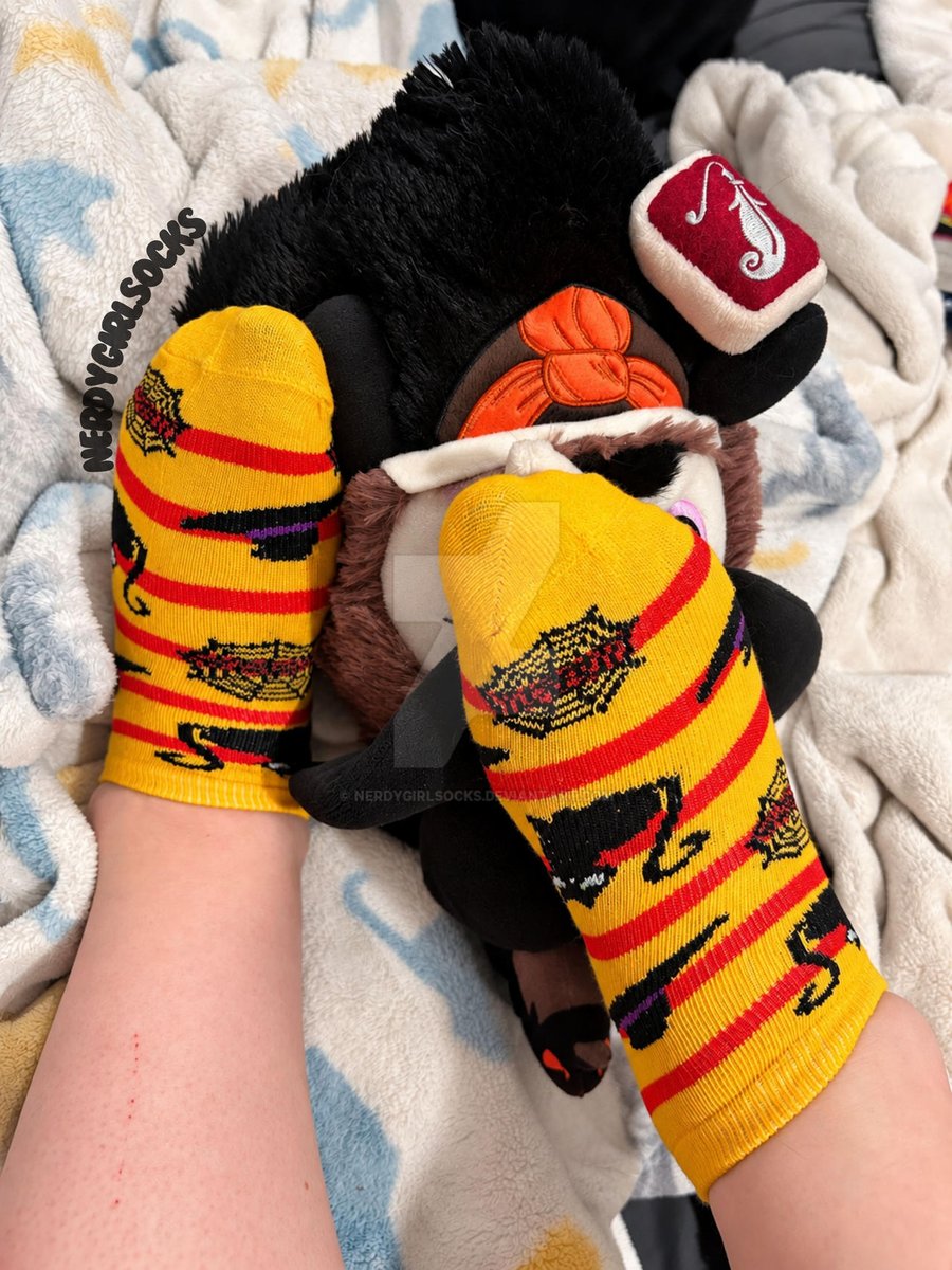 NerdyGirlSocks's tweet photo. Sorry didn't post this weekend! I was surprised with a birthday getaway!๐ I'm back & excited to share some new content!
Tonight kicks off my #13NightsofHalloween #Socktober!๐๐ป
Also a friend is getting into modeling! Would you guys like to see us do collab?๐๐
#feet #socks https://t.co/6ZcjbtOPu2