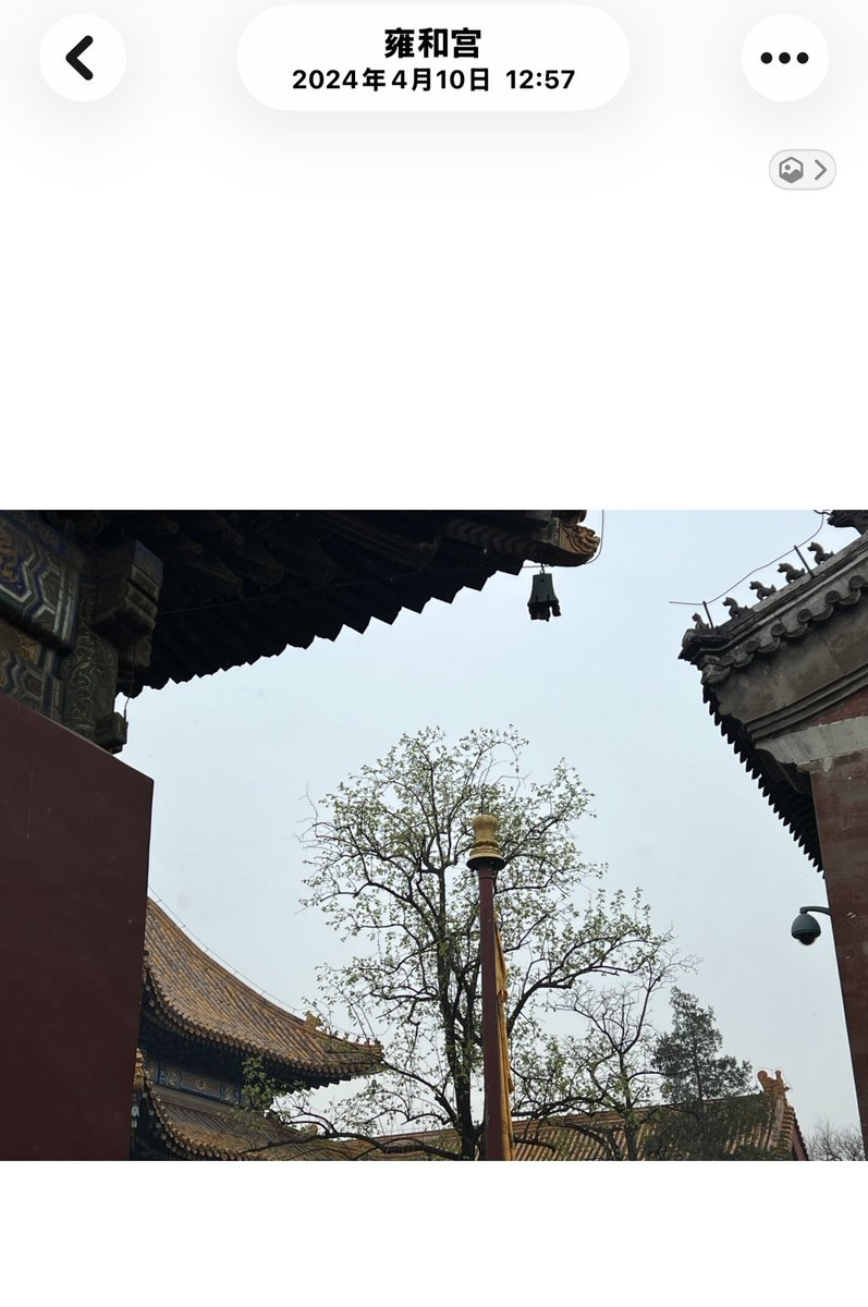 lemon1218y's tweet photo. 我知道我为什么骚，敏感，恋爱脑，粘人180 谈不到恋爱了！
雍和宫寡三年是吗？ https://t.co/F3OTunuCHP