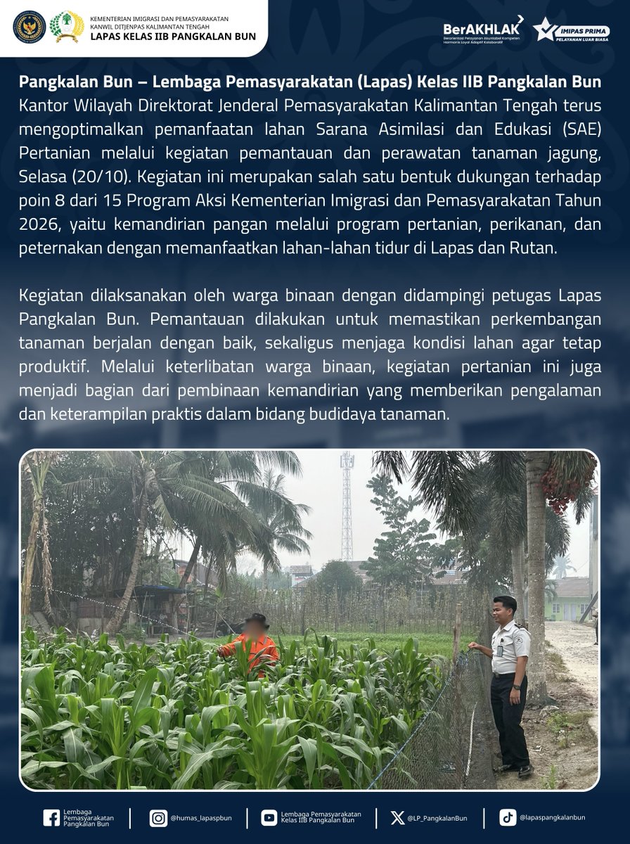 LP_PangkalanBun's tweet photo. Produktifkan Lahan Pertanian, Lapas Pangkalan Bun Dorong Kemandirian Pangan Berkelanjutan

Humas Lapas Pangkalan Bun
#kemenimipas
#Ditjenpas
#pemasyarakatan
#guardandguide
#DitjenpasKalteng
#Hensah
#infoimipas
#lapaspangkalanbun
#dawai
#KabarLapabun https://t.co/UrGoMwxPAx