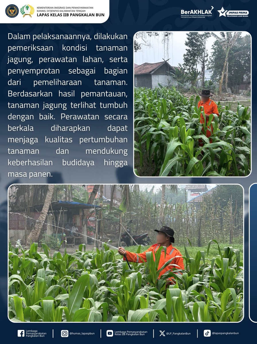LP_PangkalanBun's tweet photo. Produktifkan Lahan Pertanian, Lapas Pangkalan Bun Dorong Kemandirian Pangan Berkelanjutan

Humas Lapas Pangkalan Bun
#kemenimipas
#Ditjenpas
#pemasyarakatan
#guardandguide
#DitjenpasKalteng
#Hensah
#infoimipas
#lapaspangkalanbun
#dawai
#KabarLapabun https://t.co/UrGoMwxPAx