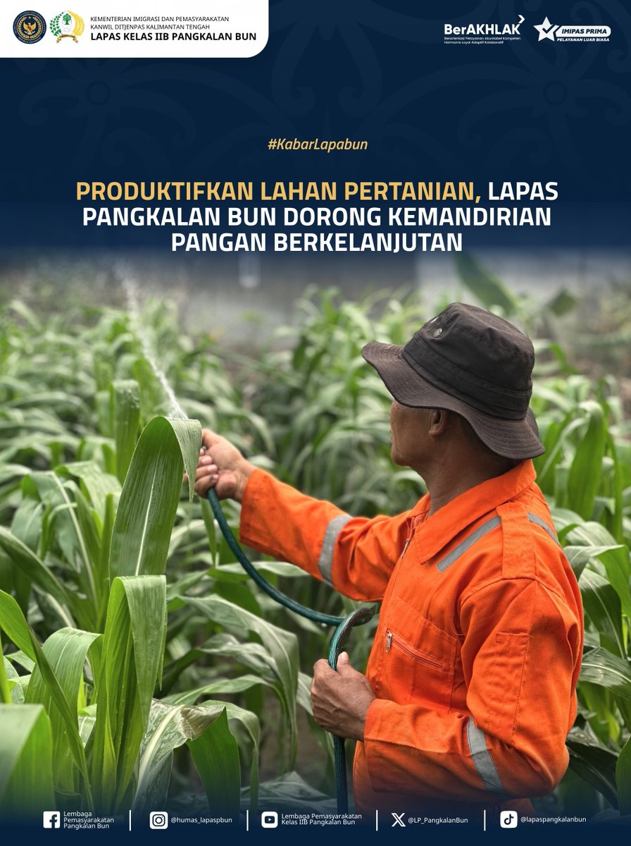 LP_PangkalanBun's tweet photo. Produktifkan Lahan Pertanian, Lapas Pangkalan Bun Dorong Kemandirian Pangan Berkelanjutan

Humas Lapas Pangkalan Bun
#kemenimipas
#Ditjenpas
#pemasyarakatan
#guardandguide
#DitjenpasKalteng
#Hensah
#infoimipas
#lapaspangkalanbun
#dawai
#KabarLapabun https://t.co/UrGoMwxPAx