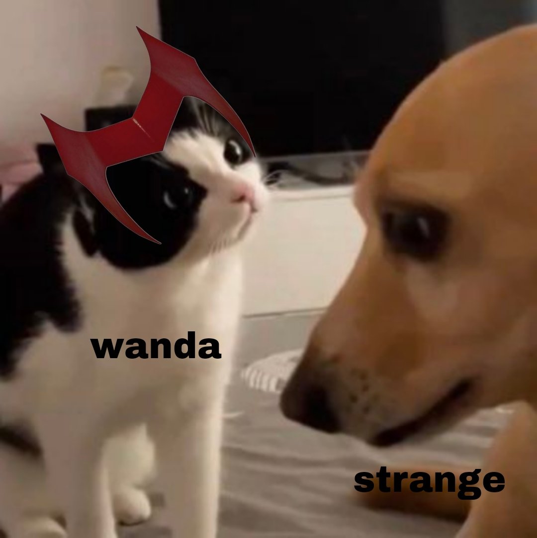 thelizzieaholic's tweet photo. wanda when she finds out billy and tommy are alive looking at strange like: https://t.co/bkM2veqO4Q