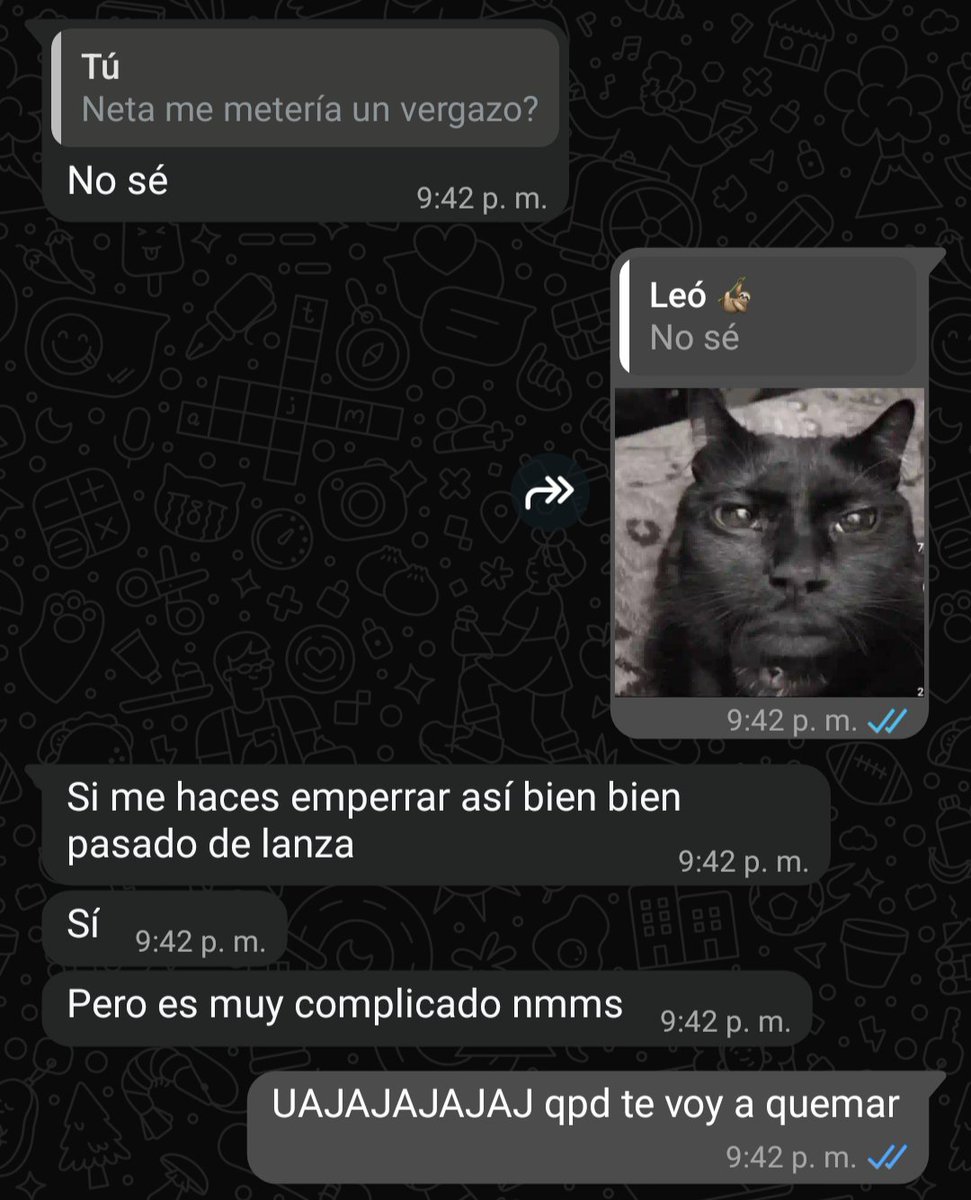 ikhorfy's tweet photo. Chequense a esta pinche alimaña, meta la en grupo de kpop, bts y esas cosas @Leobojmbg https://t.co/8VOW0noect
