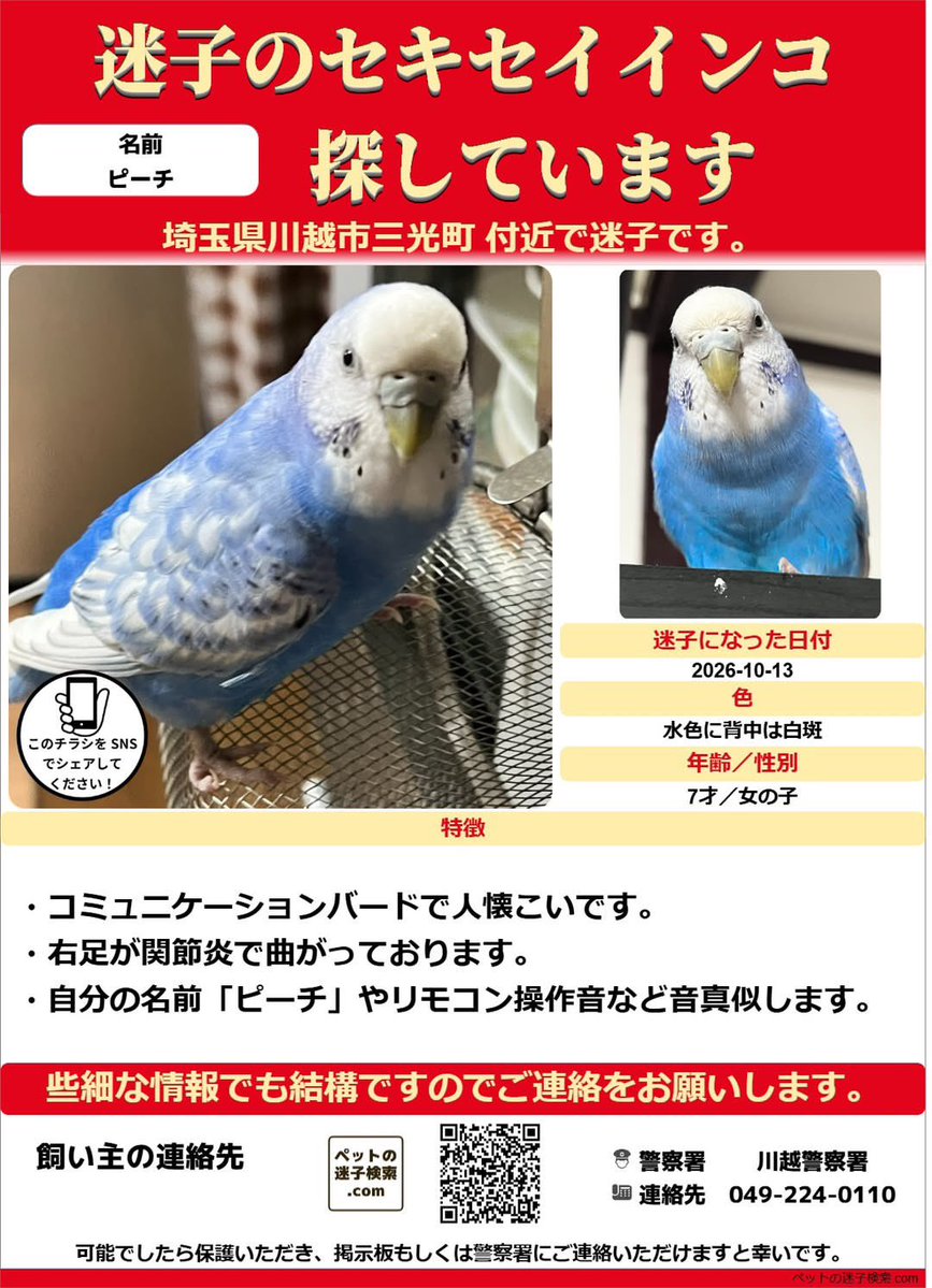 pbdg2r's tweet photo. 10/13（火）7時ごろ川越市三光町からセキセイインコが逃げてしまいました

北西方向、月吉陸橋方面に飛んでいったのを確認
見かけた方、保護お願い致します
またセキセイインコが飛んできたなど些細な情報でも構いませんので情報提供願います

警察届け出済

#迷子鳥
#セキセイインコ
#川越市 https://t.co/FMknIBrm8P