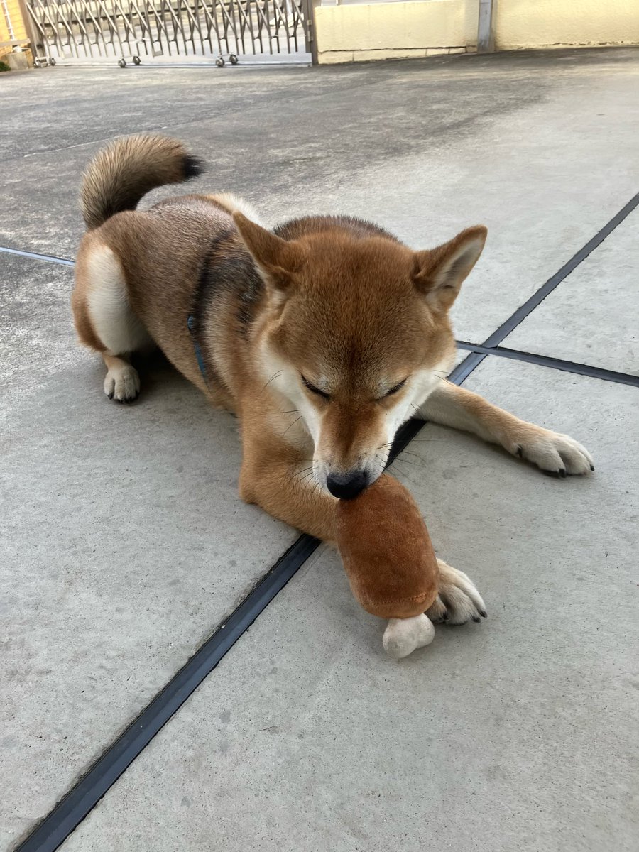 Kazeto_TrueLove's tweet photo. 「いただきます。ごちそうさまでした。」は外食でも言ってます。仏教的な意味やマナーというより、日々あらゆるものに感謝して生きているので、1人で夜食作って食べるときも無意識に言っちゃうのよね。 https://t.co/b84QGMZ60Y