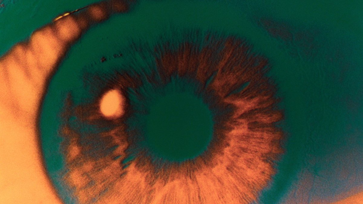 HyperCinematic tweet picture