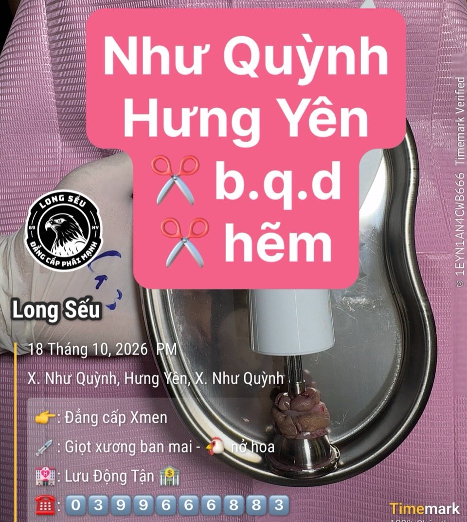Longseugambi's tweet photo. ❤️❤️❤️❤️❤️ LONG SẾU ❤️❤️❤️❤️❤️     
--------------------------------------------
👉 Độ Bi Đơn •Độ Bộ 3 Bi  •Độ Bi Vòng
👉 ✂️ B . Qui . Rùa
👉 Nhận kiểm tra &amp; xử lý bi lỗi
👉 Hỗ trợ xử lý bi hỏng, sai vị trí
👉 Nhận Đào Tạo Học Viên https://t.co/AMwWxt5xmb