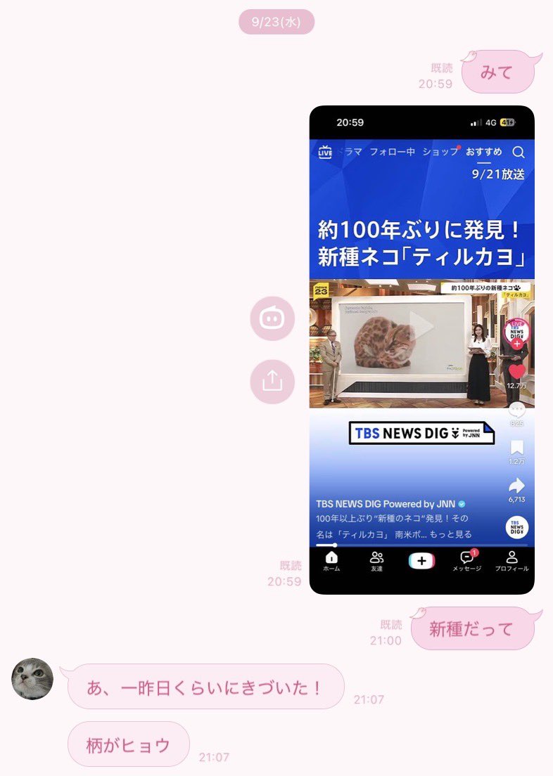 __mochichipi's tweet photo. ままとお話するのだいすきでままがお仕事中にもどうでもいいLINEします🤚🏻 https://t.co/MfP3lXdDqL