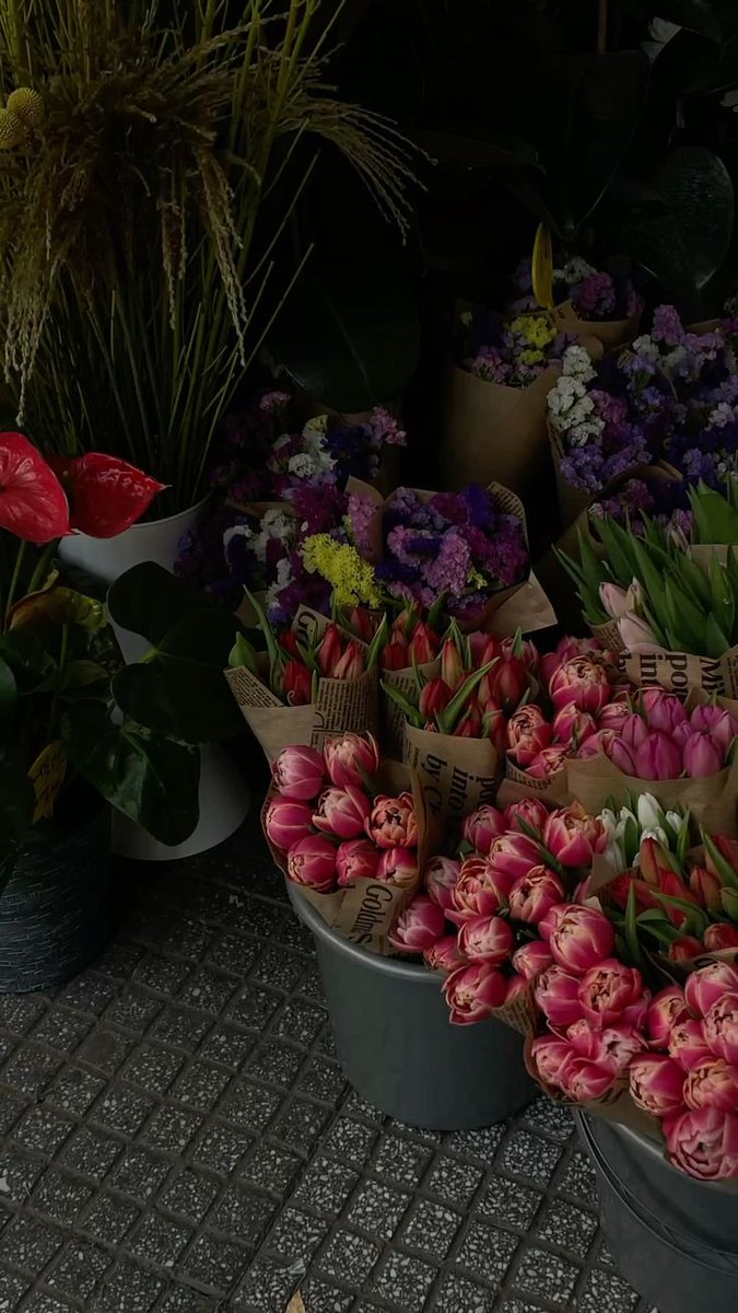 Flowersidmb's tweet photo. https://t.co/cT09YIRPeG