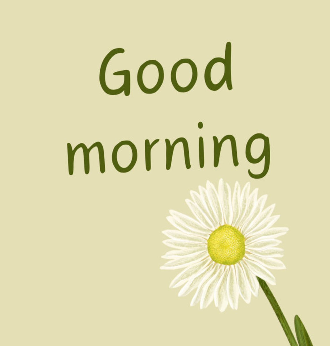 Nyx_Heart_'s tweet photo. Good Morning, X fam ☀️

New day. New opportunities. New chances to grow

Stay consistent keep building and let your actions speak louder than words

Wishing everyone a productive day
#GoodMorning #Web3 https://t.co/sUcdLOtaNS