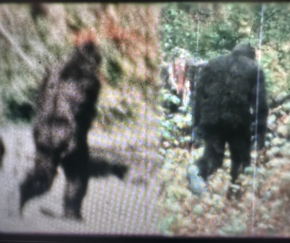 ScreenMan100's tweet photo. There you have it folks!! #CapturingBigfoot https://t.co/Zh1nnrYazB
