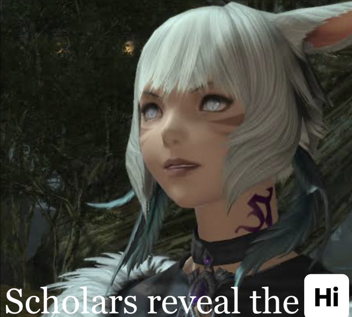 talismanxiv's tweet photo. Big news for xiv https://t.co/Hx2SW6l9qq