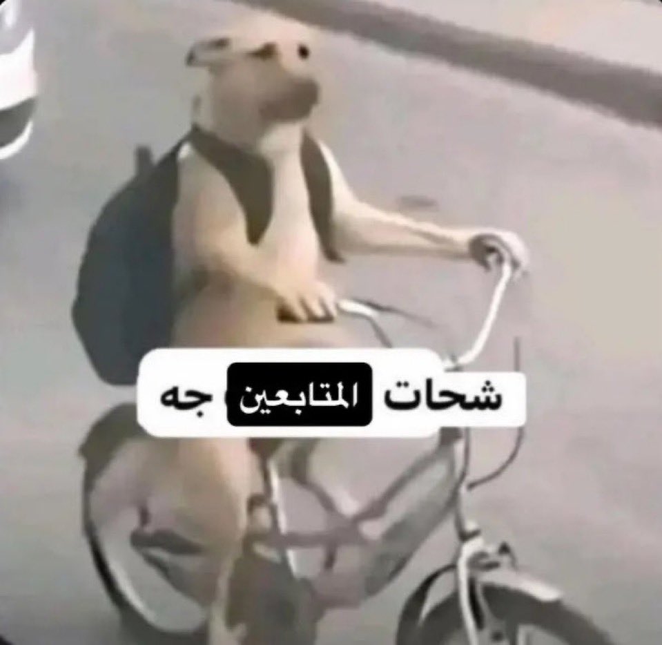 iiillllii87's tweet photo. صباحو ياقروب المطانيخ https://t.co/EZH8hSLnEF