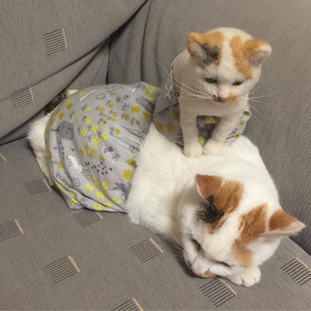 MolliePinnrt's tweet photo. 何気ない��常の中に潜む温度差に、時々ぼん���りと考え込んでしまうことがある。君たちはどう思う。 https://t.co/pDi1EPWWtJ