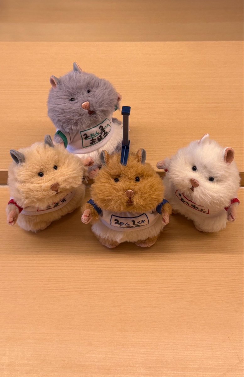 girihapi88's tweet photo. 身体測定はむちゃんず🐹🤸‍♂️✴️

#はむにぎり
#はむにぎりのいる暮らし https://t.co/v1fqJBnZ1b