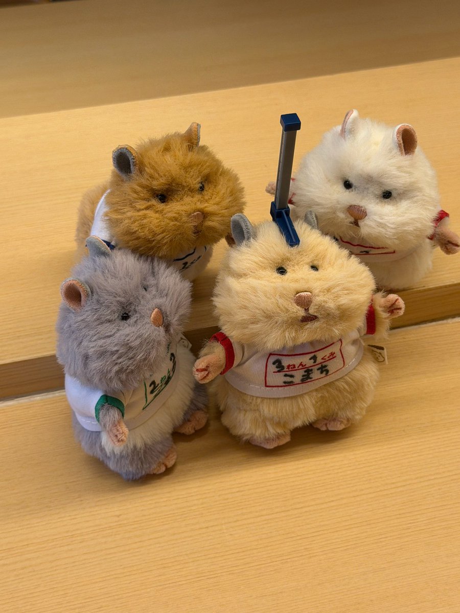 girihapi88's tweet photo. 身体測定はむちゃんず🐹🤸‍♂️✴️

#はむにぎり
#はむにぎりのいる暮らし https://t.co/v1fqJBnZ1b