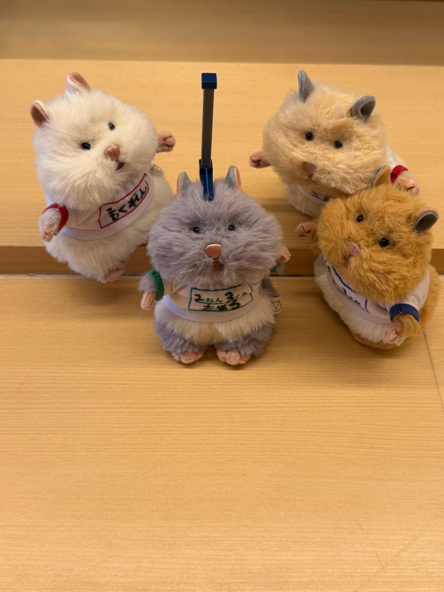 girihapi88's tweet photo. 身体測定はむちゃんず🐹🤸‍♂️✴️

#はむにぎり
#はむにぎりのいる暮らし https://t.co/v1fqJBnZ1b
