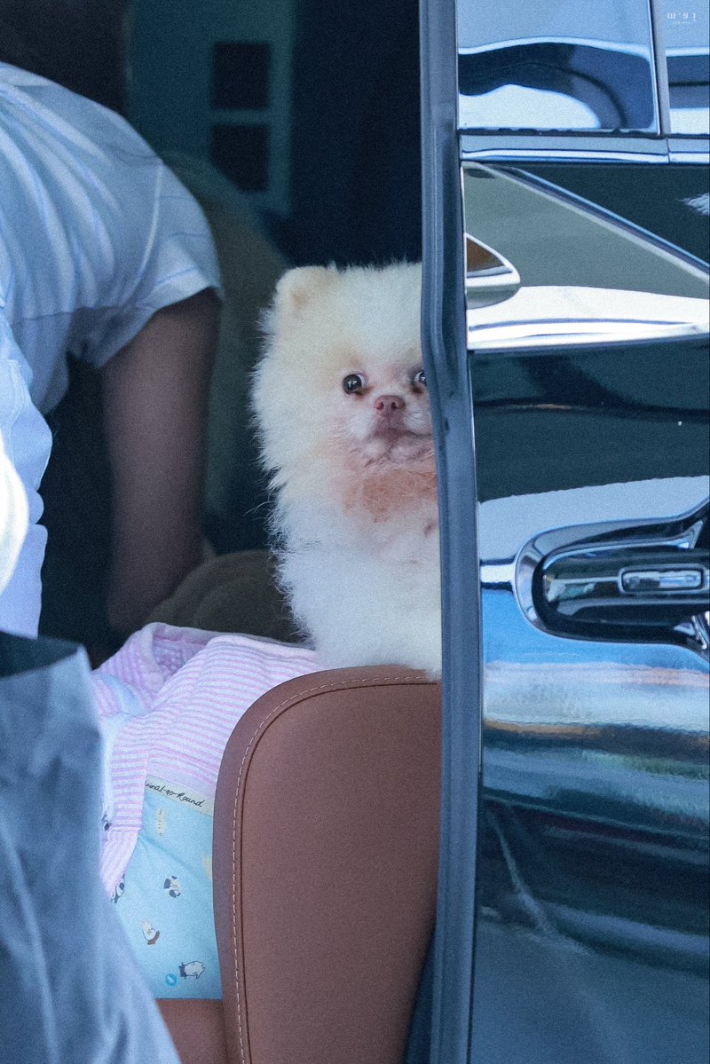 theboss_Natasha's tweet photo. สภาพแม่ตอนนี้5555555555555

MIU NATSHA X CALTEX
#CALTEXKEBDAOxMIU 
#MiuNatsha #หมิวณัชชา https://t.co/vrgPGrb5rx