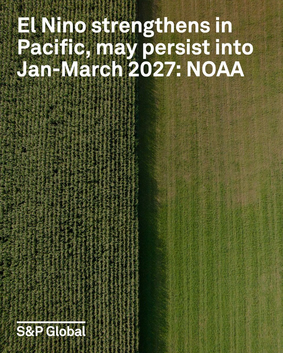 SPGlobal's tweet photo. From @EnergySPG: El Niño conditions in the Pacific Ocean have intensified, with a greater than 83% chance of a very strong event during January-March 2027, according to NOAA.

Market experts warned of potentially significant effects on farm productivity across several regions. Read more: https://t.co/0HkKdglg3Z