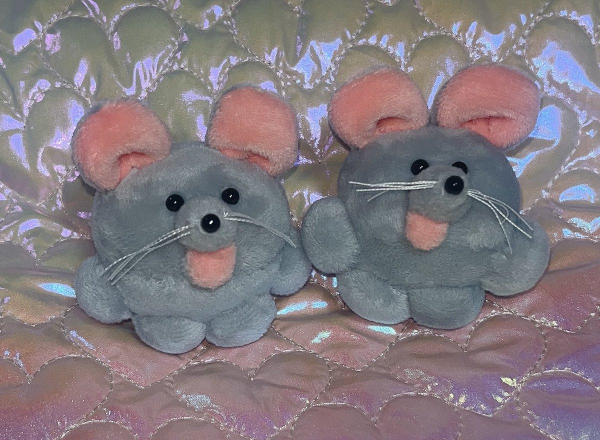 ippaitaberu_inu's tweet photo. 🐀 https://t.co/Q6Ah2HTSFW