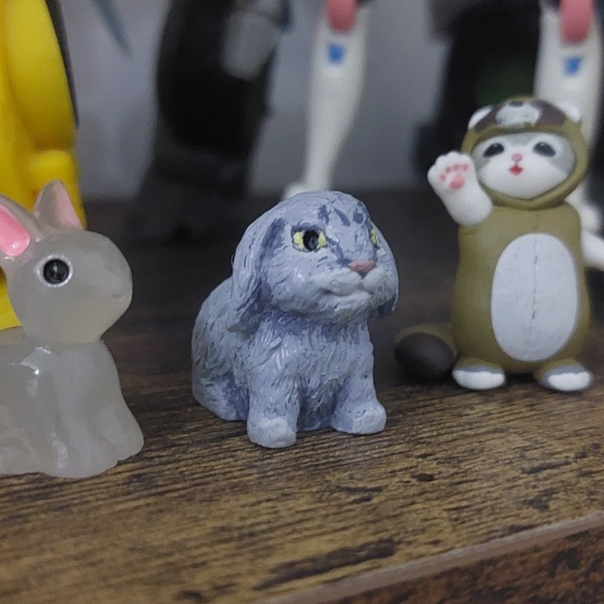 madracon's tweet photo. CABBIT :33 https://t.co/4ScEA5P1yA
