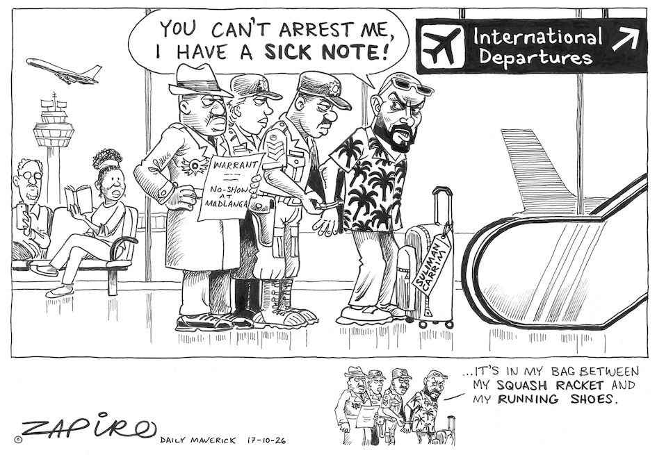 zapiro tweet picture