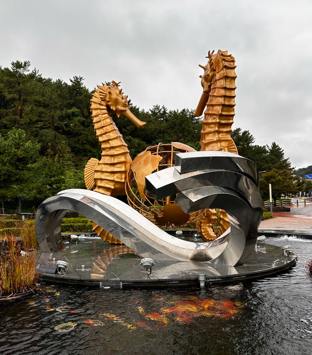 ut42tech's tweet photo. 韓国国立水産科学院にお邪魔してます！🐟 https://t.co/lhaHoDo3Cx