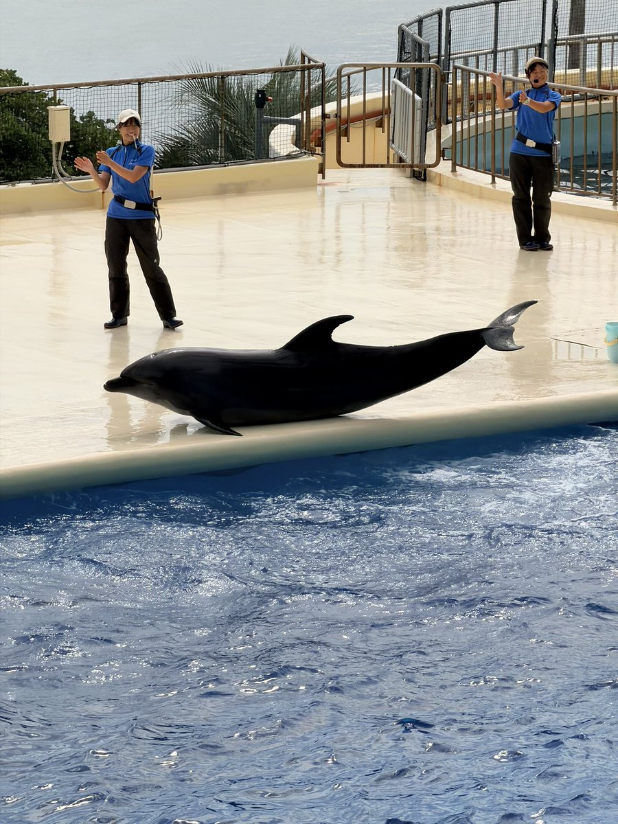 _amakiaki's tweet photo. 🐠🐡🐟🦈🐧🫍🦭
水族館いっぱい楽しんできた https://t.co/kG3I6RRP6z