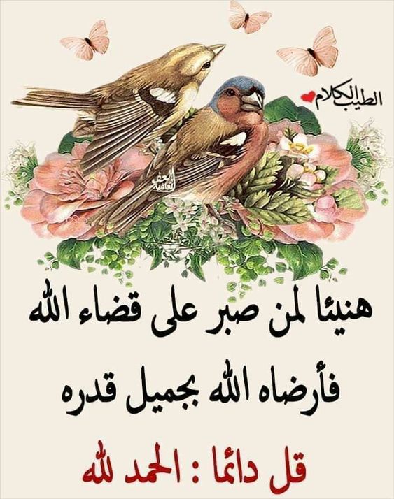 Gghreeb2____E's tweet photo. @thoughtsbylulu مغ اشراقة كل صباح 
الحمد لله من قبل ومن بعد https://t.co/a9aCke4Pld