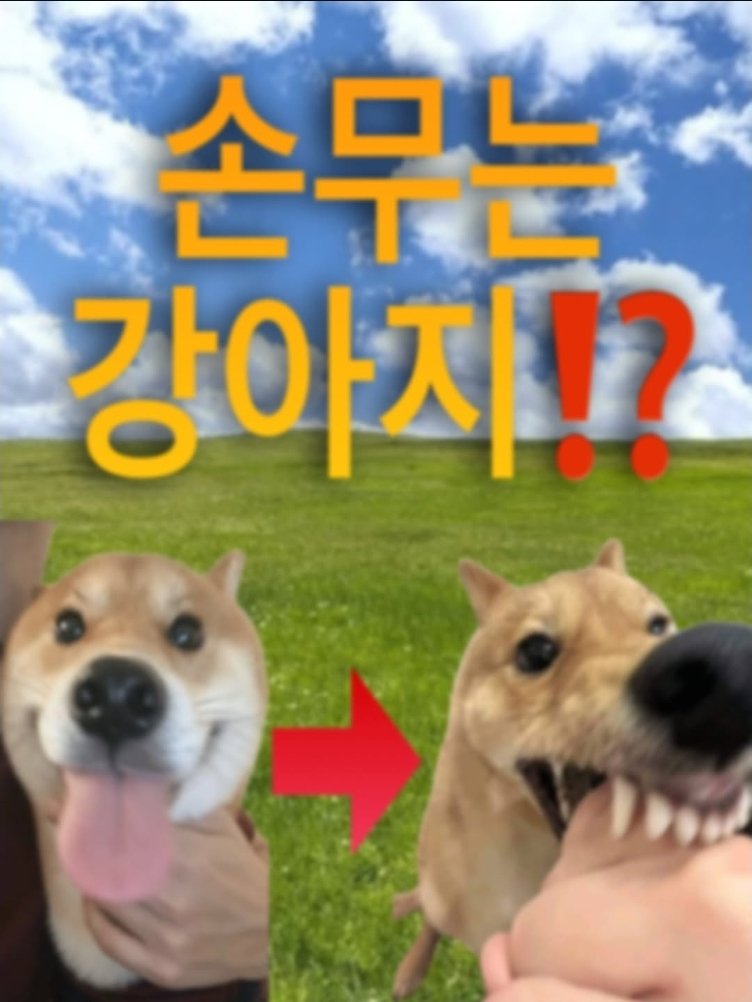 sai_42_sai's tweet photo. 어이가 없네. https://t.co/0MZbAmkTkm
