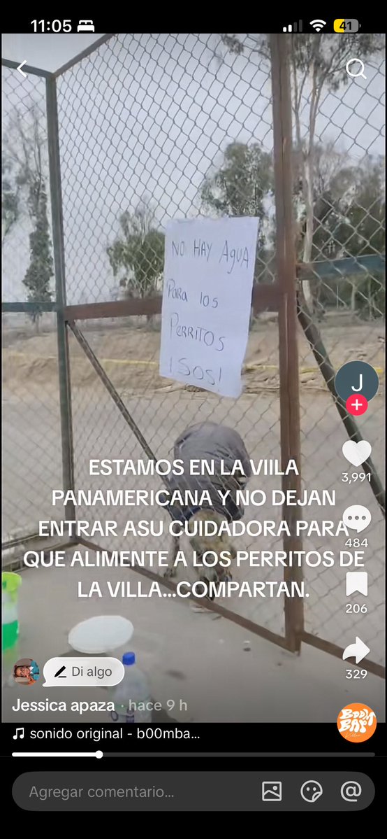 ticnt_'s tweet photo. Hola amigos!

En la villa panamericana no están permitiendo que entren a darle agua o comida a los perritos que habitan ahí!

Reportan que el administrador todavía recorta el agua https://t.co/PliYeVln9T
