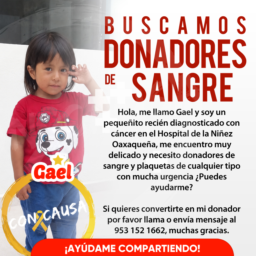 ConCausaMX's tweet photo. El pequeño Gael fue recientemente diagnosticado con cáncer y necesita donadores de sangre y plaquetas con urgencia, ayúdanos compartiendo esta publicación y si puedes también dónandole 🎗️🩸#ConCausa #CancerInfantil #Oaxaca #DonaSangre https://t.co/oPHuN6TPfv